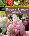 Drzewa i krzewy liściaste in polish