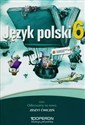 Odkrywamy na nowo Język polski 6 Zeszyt ćwiczeń Szkoła podstawowa - Alicja Krawczuk-Goluch