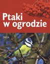 Ptaki w ogrodzie  