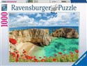 Puzzle 2D 1000 AT Algarve 17182 - 