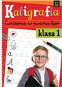 Kaligrafia klasa 1 Ćwiczenia w pisaniu liter Polish bookstore