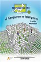 Miniatury matematyczne 88  