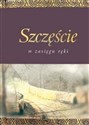 Szczęście w zasięgu ręki polish usa