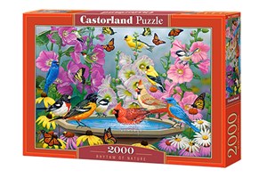 Puzzle 2000 Rhythm of Nature 