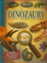 Dinozaury Pod lupą skamieniałości, przodkowie ludzi i zwierząt, prehistoria - 