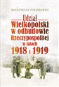Udział Wielkopolski w odbudowie Rzeczypospolitej w latach 1918 i 1919 - Włodzimierz Lewandowski polish books in canada
