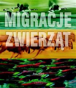 Migracje zwierząt 