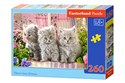 Puzzle Three Grey Kittens 260 - 
