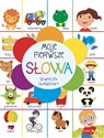 Moje pierwsze słowa. Słowniczek obrazkowy  books in polish