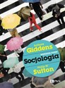 Socjologia  - Anthony Giddens, Philip W. Sutton