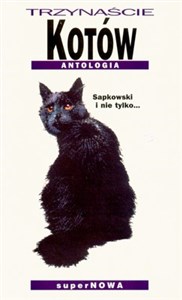 Trzynaście kotów Antologia books in polish