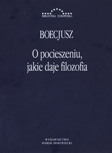 O pocieszeniu, jakie daje filozofia chicago polish bookstore