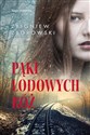 Pąki lodowych róż Saga rodzinna chicago polish bookstore