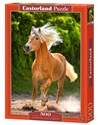 Puzzle Running Haflinger 500 B-52981 polish usa