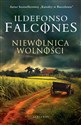 Niewolnica wolności - Ildefonso Falcones