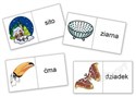 Domino logopedyczne wyrazowo - obraz. Ś, Ź, Ć, DŹ polish books in canada