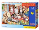 PuzzleCat family 300 - 
