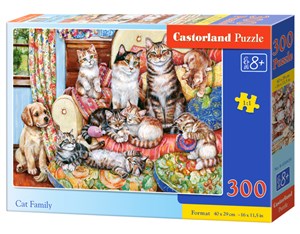 PuzzleCat family 300 buy polish books in Usa
