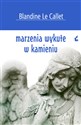 Marzenia wykute w kamieniu to buy in USA