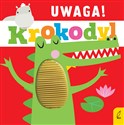 Uwaga krokodyl - Anna Paszkiewicz