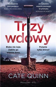 Trzy wdowy DL  chicago polish bookstore