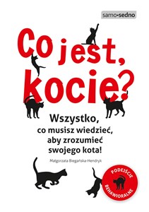 Co jest, kocie? Wszystko, co musisz wiedzieć, aby zrozumieć swojego kota in polish