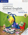 Cambridge Global English 6 Activity Book polish usa