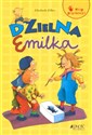 Dzielna Emilka stop przemocy ! buy polish books in Usa