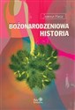 Bożonarodzeniowa historia  