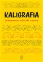 Kaligrafia. Ornamenty, szlaczki, wzory  - Marek Regner