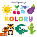 Maluch poznaje Kolory  - Opracowanie Zbiorowe