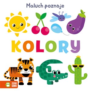 Maluch poznaje Kolory polish usa