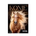 Kalendarz 2026 Konie A3 ścienny to buy in USA