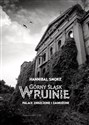 Górny Śląsk w ruinie Pałace zniszczone i zagrożone 