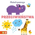 Maluch poznaje Przeciwieństwa  - Opracowanie Zbiorowe