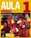 Aula America 1 podręcznik  in polish