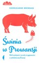 Świnia w Prowansji Dobre jedzenie i proste przyjemności w południowej Francji in polish