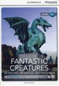 Fantastic Creatures: Monsters, Mermaids, and Wild Men Beginning 