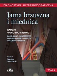 Diagnostyka ultrasonograficzna. Jama brzuszna i miednica - Polish Bookstore USA