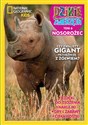 Dzikie Zwierzęta 6 Nosorożec buy polish books in Usa