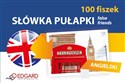 Angielski 100 Fiszek Słówka Pułapki online polish bookstore