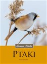 Ptaki Fauna Polski - Dorota Zawadzka