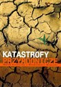 Katastrofy przyrodnicze chicago polish bookstore