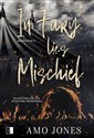 In Fury Lies Mischief Midnight Mayhem #2 Bookshop