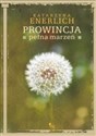 Prowincja pełna marzeń Polish bookstore