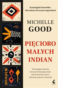 Pięcioro małych Indian  to buy in USA