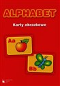 Alphabet zestaw kart obrazkowych bookstore