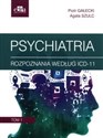 Psychiatria. Tom 1 Rozpoznania według ICD-11 polish books in canada