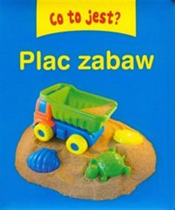 Co to jest? Plac zabaw  books in polish