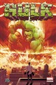 Hulk. Marvel Fresh in polish